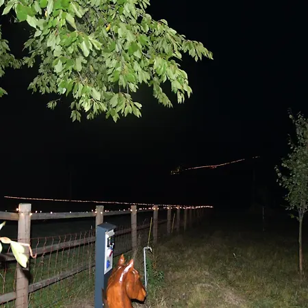 01 Jurta Seda U Stodoly Luxussátor Chotetice